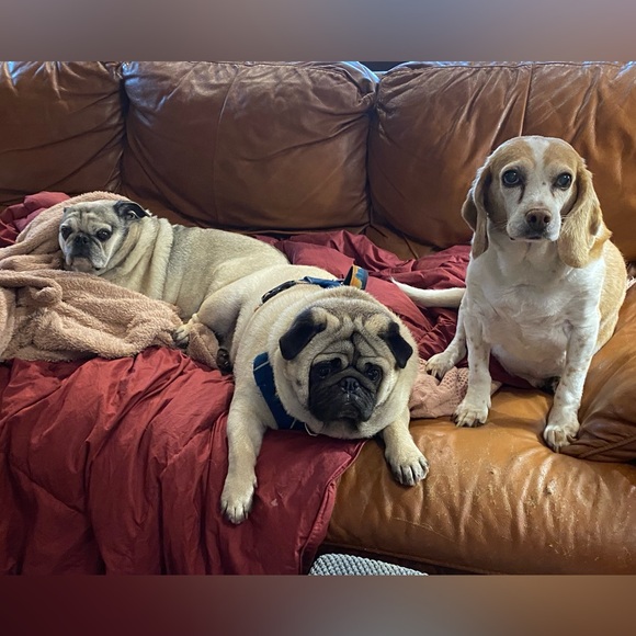 Meet your Posher, Lance - Picture 8 of 11